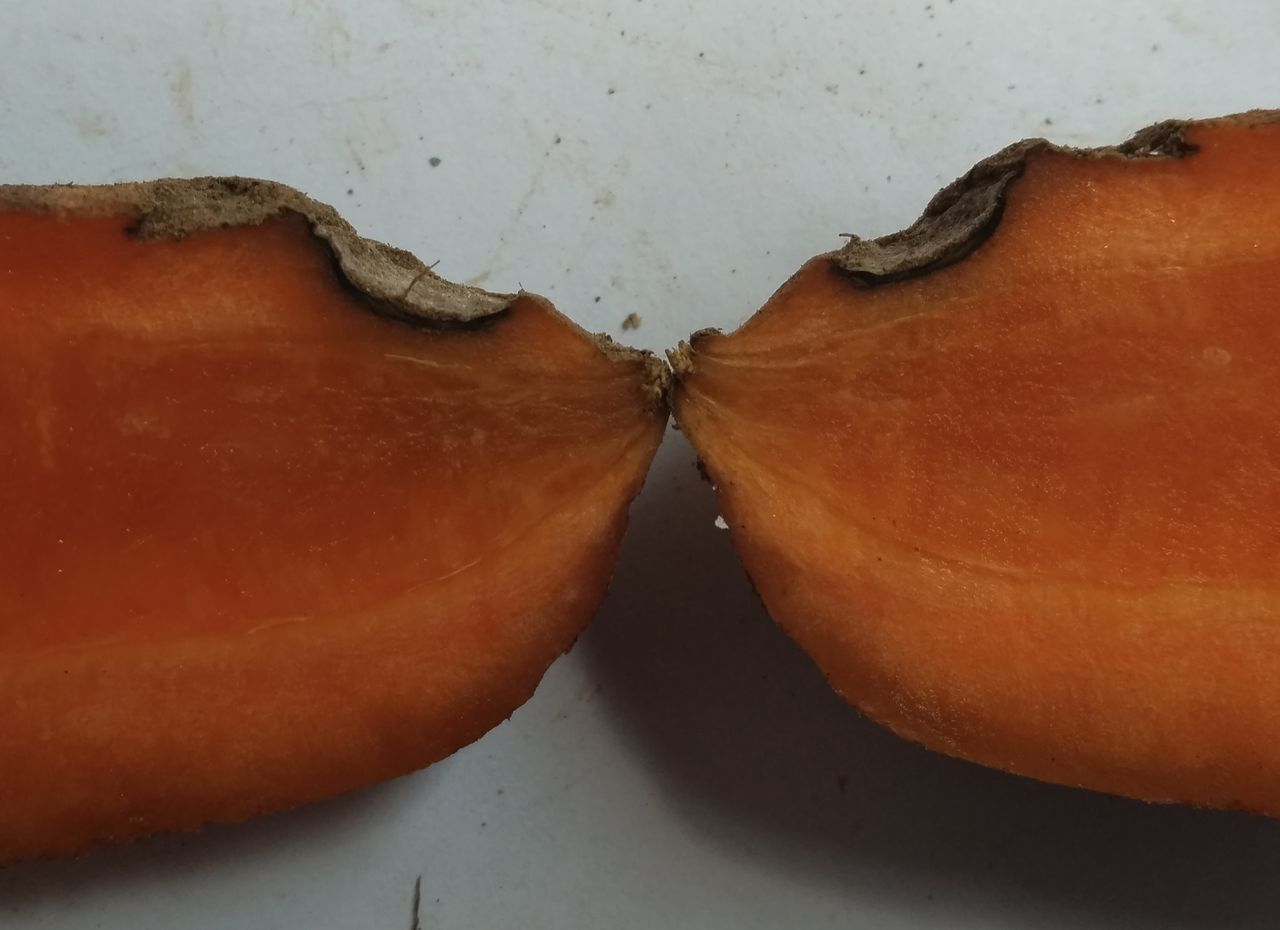 Кратерная гниль (crater rot) на корнеплодах моркови