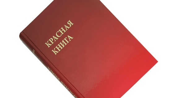 Красная Книга