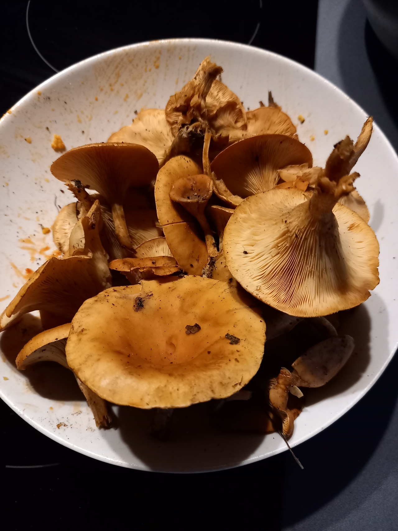 Лисички грибы фото