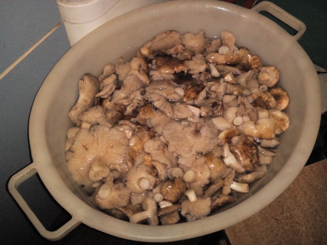 Песочники грибы блюда