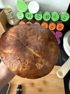 Гриб из Арброт, Шотландия