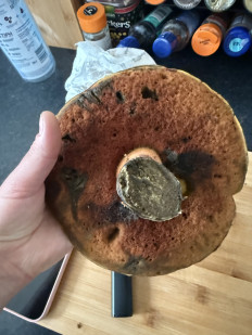 Гриб из Арброт, Шотландия