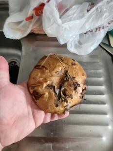 Гриб из Тамбов