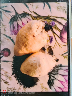 Гриб из Москва