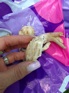 Зонтик краснеющий