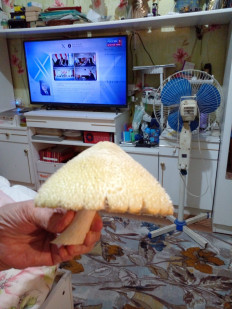 Вольвариелла шелковистая