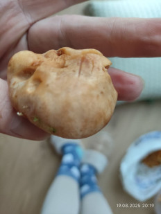 Гриб из Север Норвегии