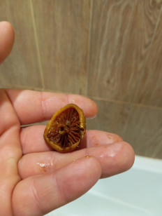 Гриб из Благовещенск