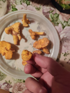 Гриб из Московская область, Клин