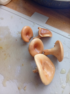 Гриб из Стерлитамак