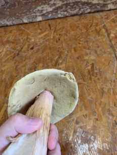 Гриб из Екб