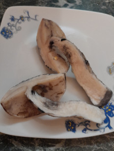 Гриб из Москва