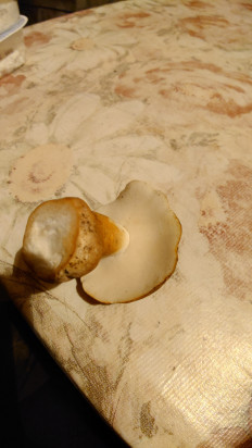 Гриб из Владимир