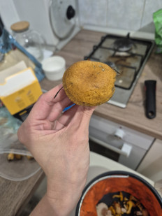 Маслёнок желто-бурый