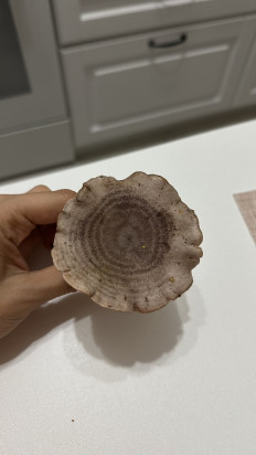 Гриб из Коломна