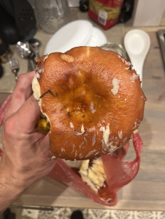 Гриб из Петрозаводск