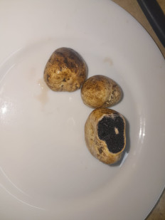 Гриб из алтайский край