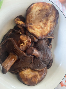 Гриб из Кировская область