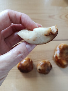 Гриб из Красноярск