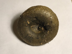 Гриб из Москва