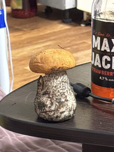 Гриб из Иркутск