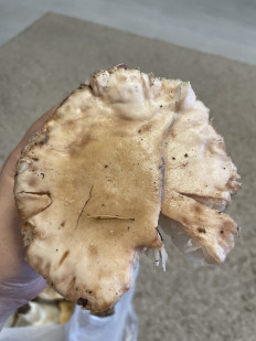 Гриб из Алтайский край Барнаул