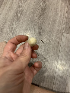 Гриб из Набережные Челны