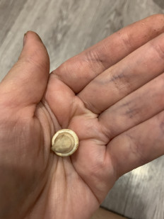 Гриб из Набережные Челны