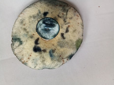 Гиропорус синеющий