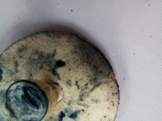 Гиропорус синеющий