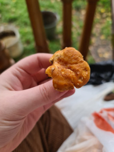 Гриб из Екатеринбург