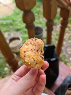 Гриб из Екатеринбург