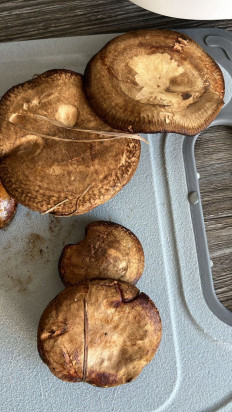 Гриб из Вологда