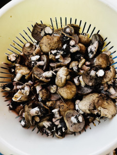 Гриб из Самара