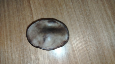 Гриб из Мурманск