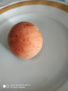 Гриб из Санкт-Петербург