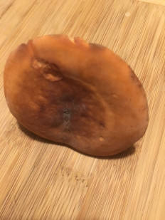 Подмолочник