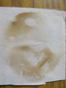 Гриб из г.Лида