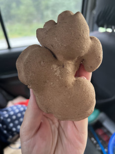 Гриб из Находка