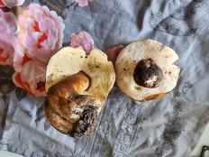 Гриб из Тамбов