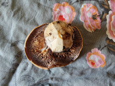 Гриб из Тамбов