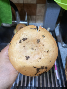 Гриб из Челябинск