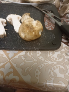 Гриб из Тула