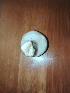 Гриб из Коасноярск