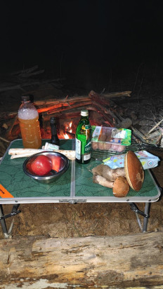 Гриб из Волгоград