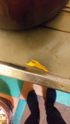 Гриб из Екатеринбург