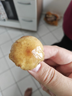 Гриб из Мюнхен