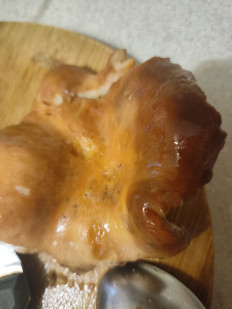 Гриб из Пермь