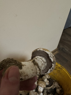 Гриб из Кременчук