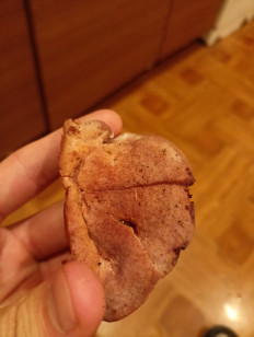 Гриб из Воронеж